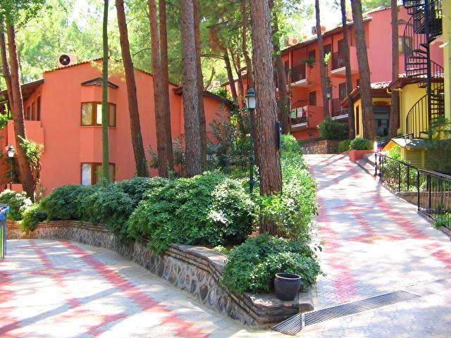 Outdoor Pictures 1