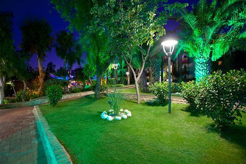 Outdoor Pictures 20