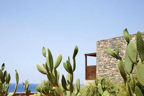 Outdoor Pictures 21