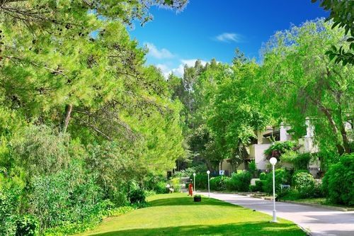 Outdoor Pictures 20