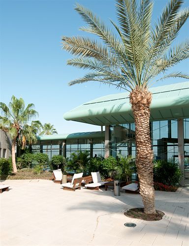 Oasis Dead Sea Hotel