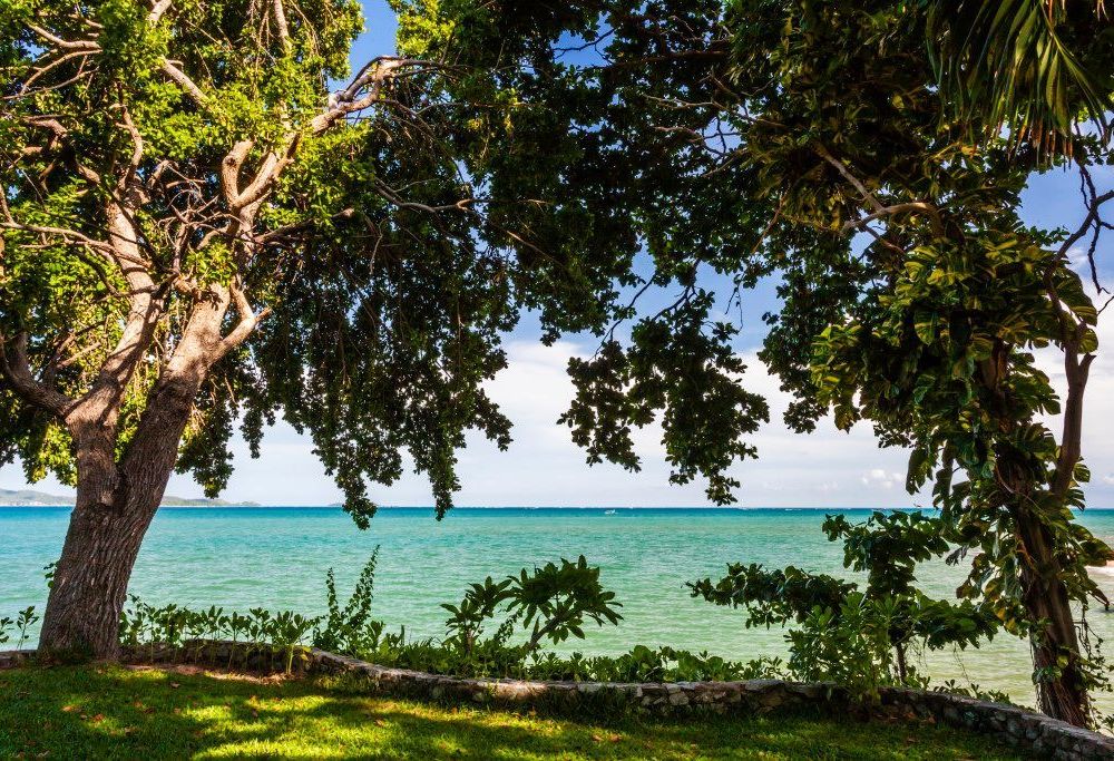 Outdoor Pictures 21