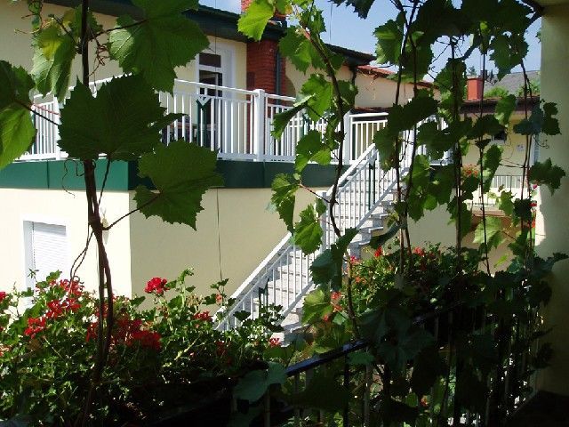 Outdoor Pictures 21