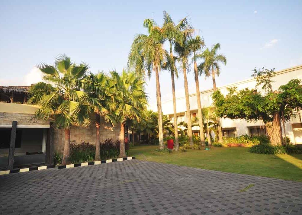 Outdoor Pictures 1