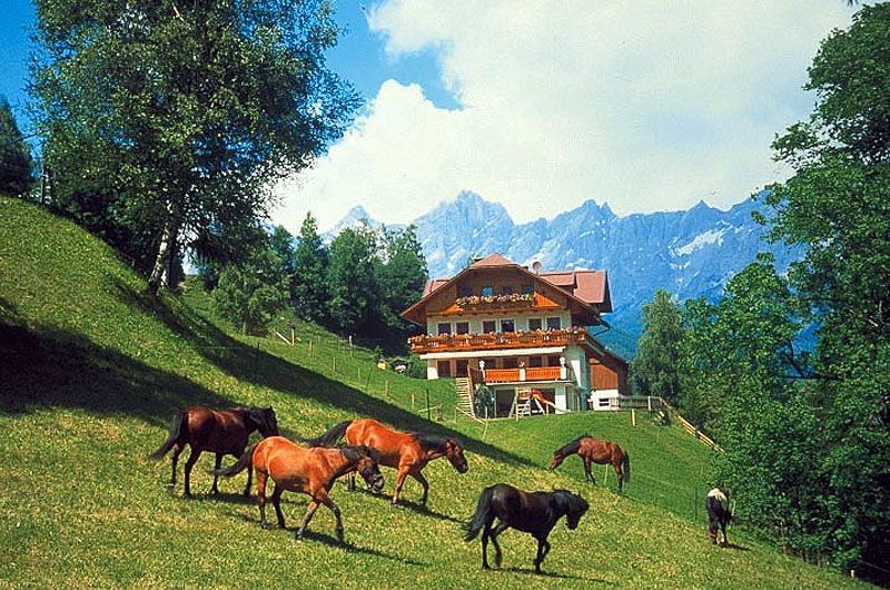 Outdoor Pictures 20