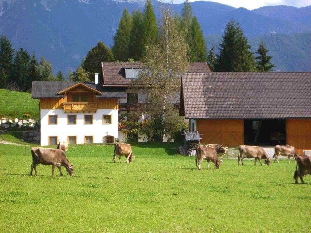 Outdoor Pictures 21