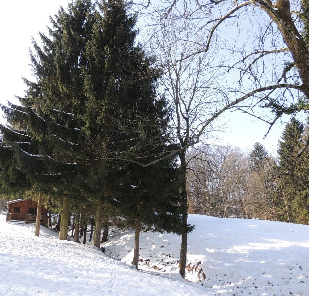 Outdoor Pictures 23