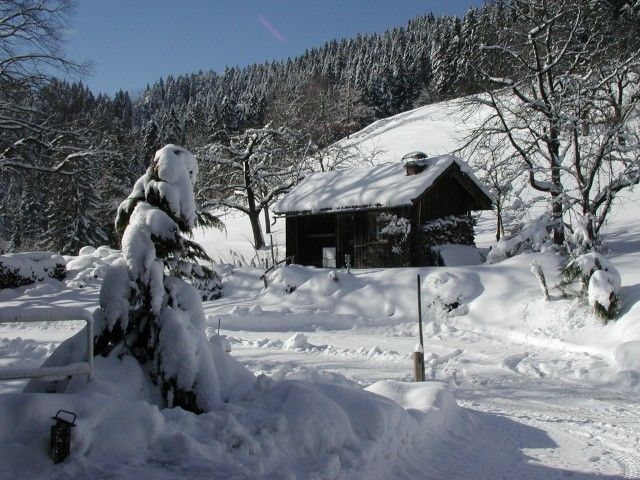 Outdoor Pictures 22