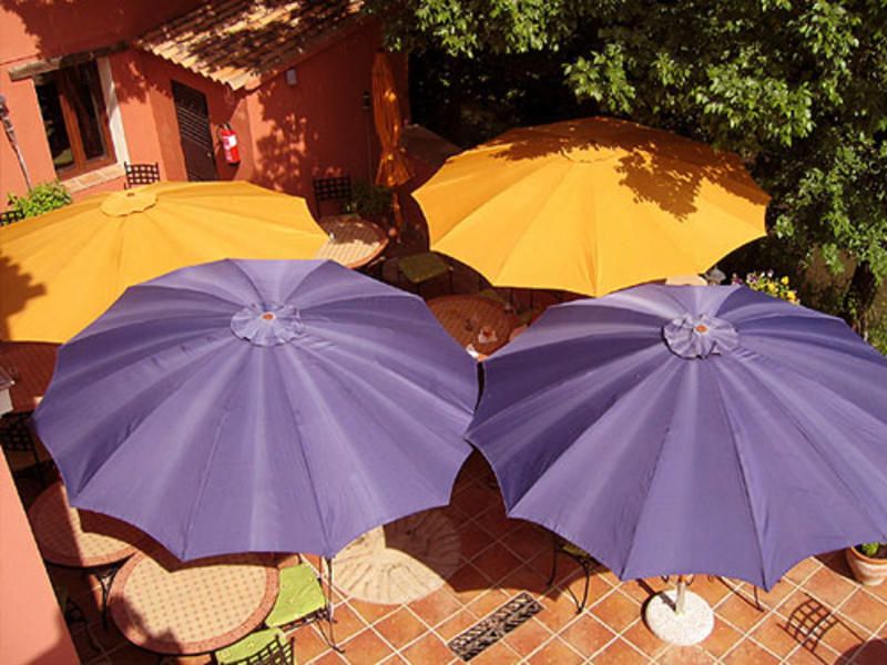 Outdoor Pictures 24