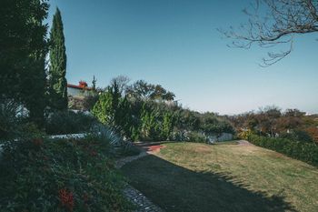 Outdoor Pictures 21