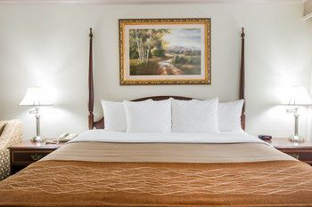 Comfort Inn Plainwell