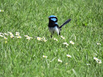 Outdoor Pictures 20