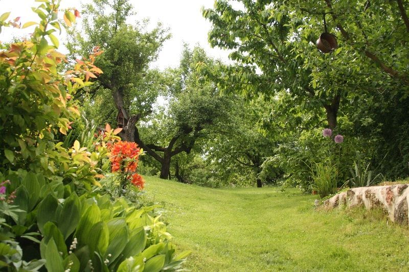 Outdoor Pictures 18