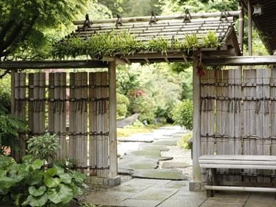 Outdoor Pictures 9