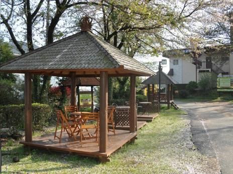 Outdoor Pictures 24
