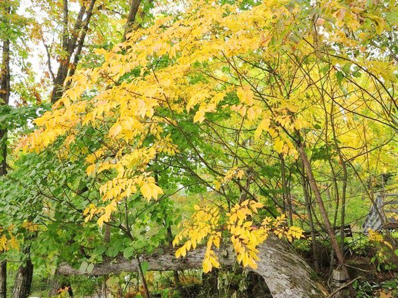 Outdoor Pictures 6