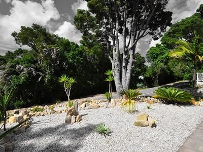 Outdoor Pictures 21