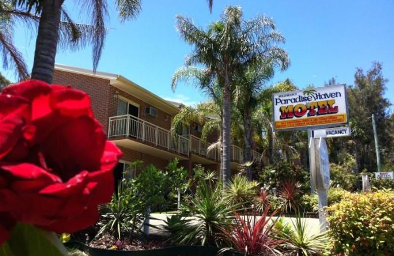 Mollymook Paradise Haven Motel