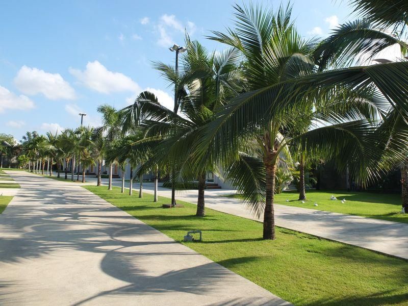 Outdoor Pictures 1