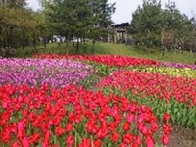 Outdoor Pictures 20