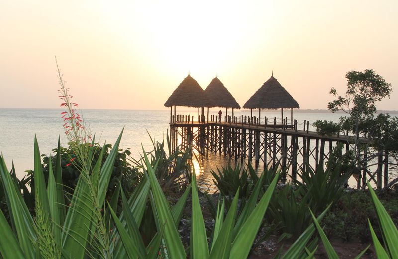 Fruit & Spice Wellness Resort Zanzibar