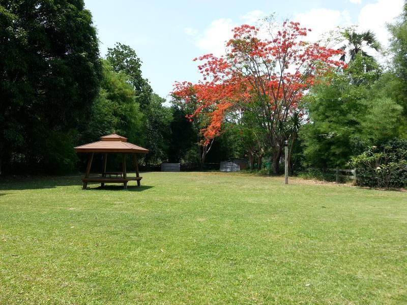 Outdoor Pictures 10