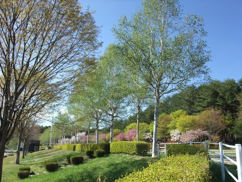 Outdoor Pictures 6