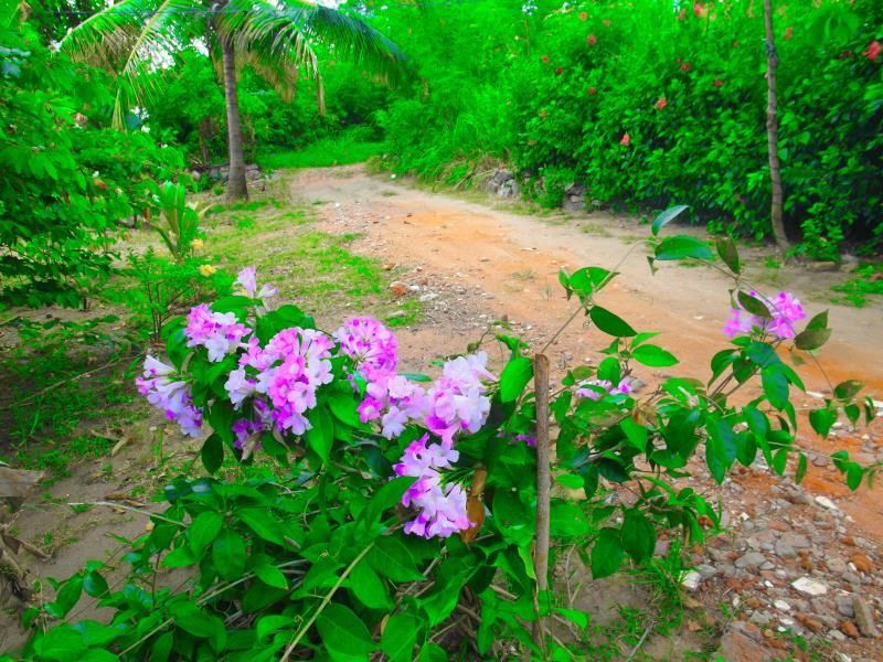 Outdoor Pictures 20