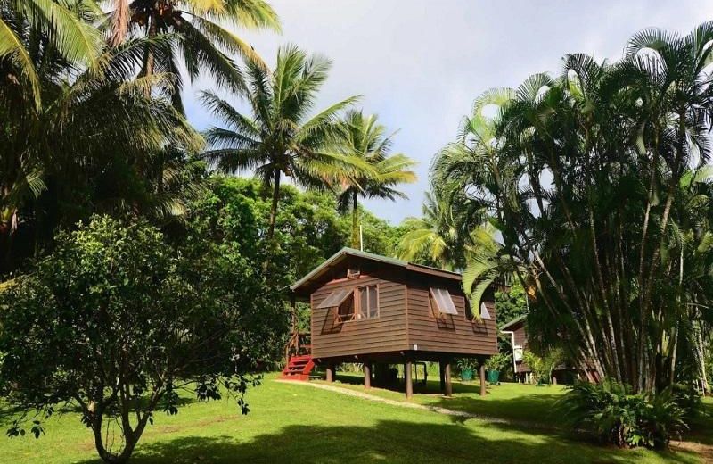 Daintree Rainforest Bungalows