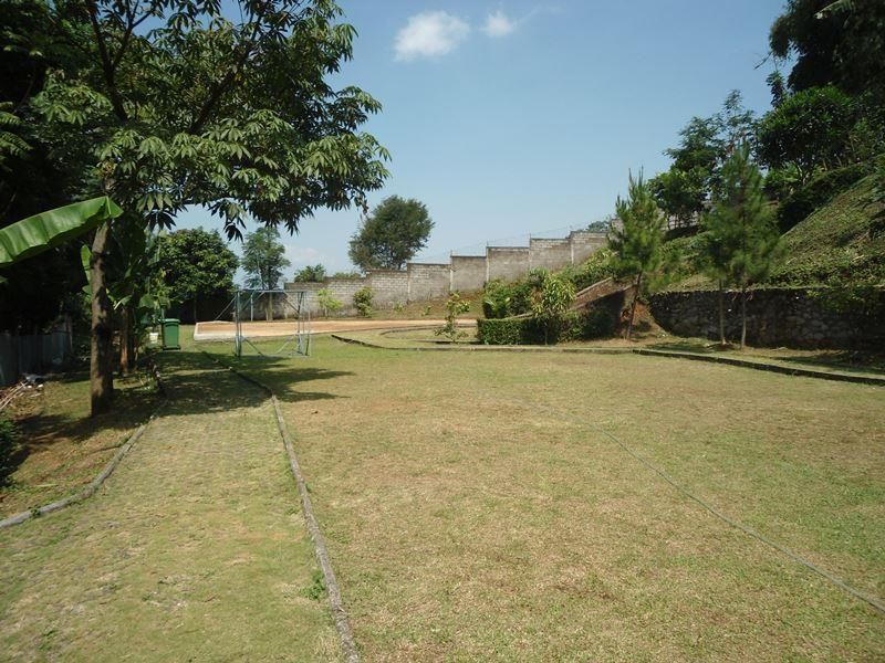 Outdoor Pictures 6