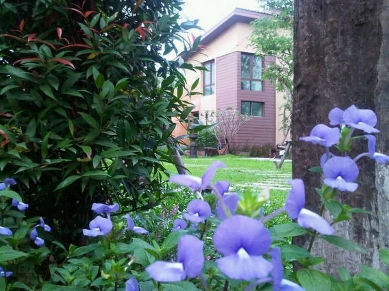 Outdoor Pictures 5
