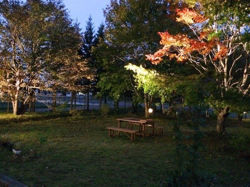 Outdoor Pictures 5