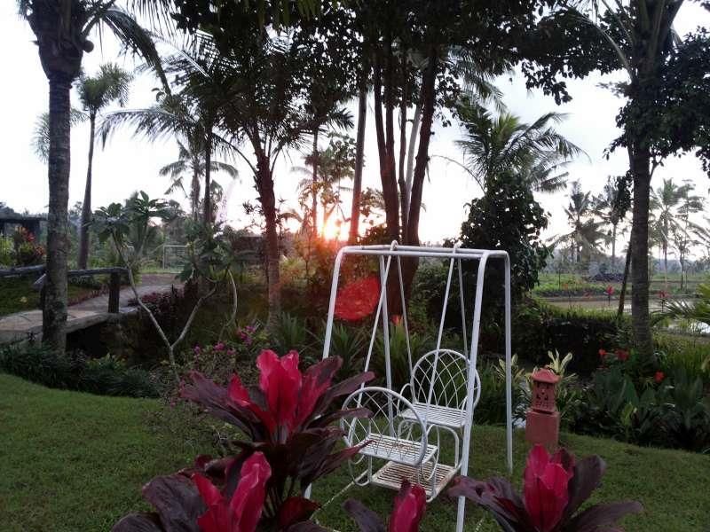 Outdoor Pictures 9