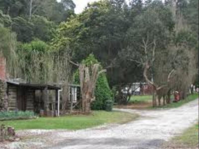 Outdoor Pictures 1