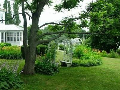 Outdoor Pictures 20