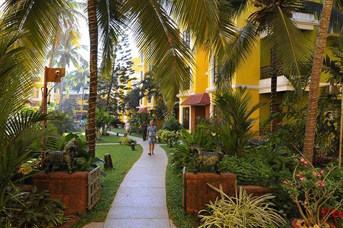 Outdoor Pictures 21