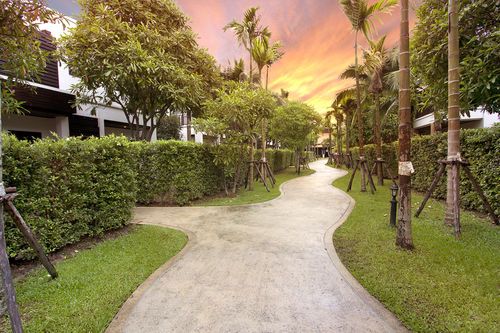 Outdoor Pictures 20
