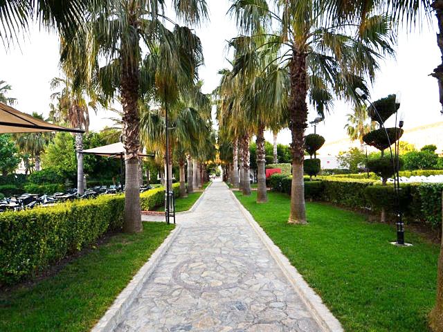 Outdoor Pictures 24