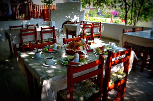 Outdoor Pictures 15