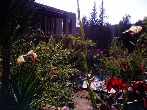 Outdoor Pictures 15