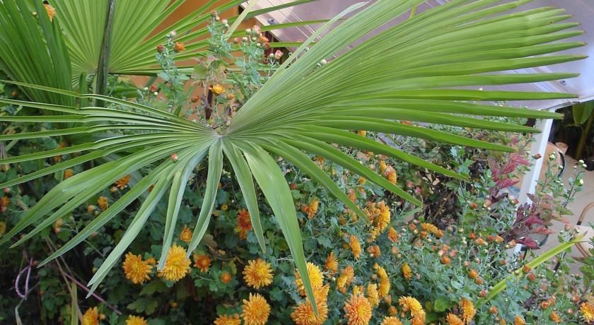 Outdoor Pictures 20