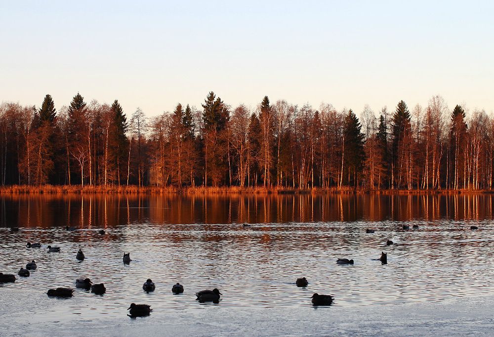 Outdoor Pictures 20