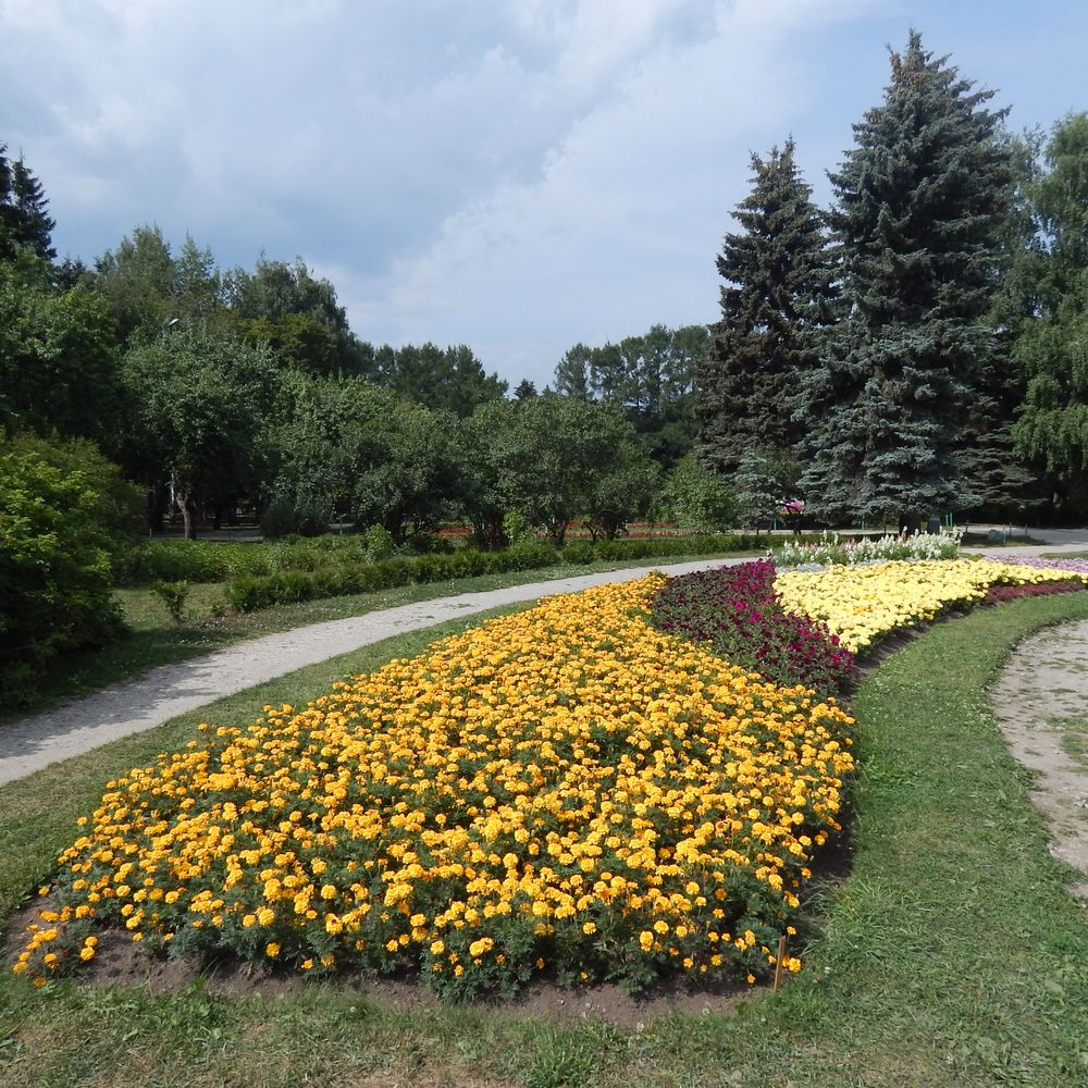Outdoor Pictures 24