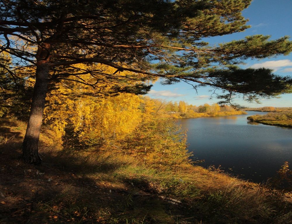 Outdoor Pictures 20