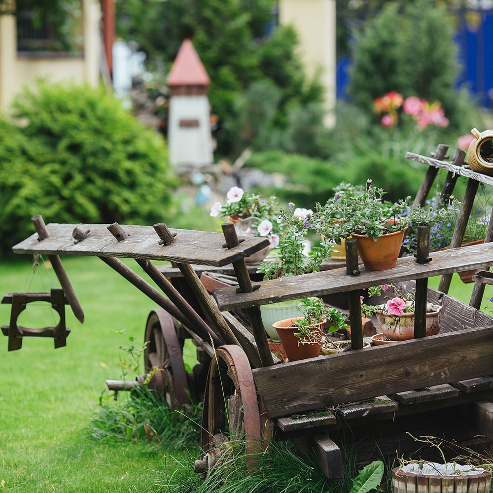Outdoor Pictures 22