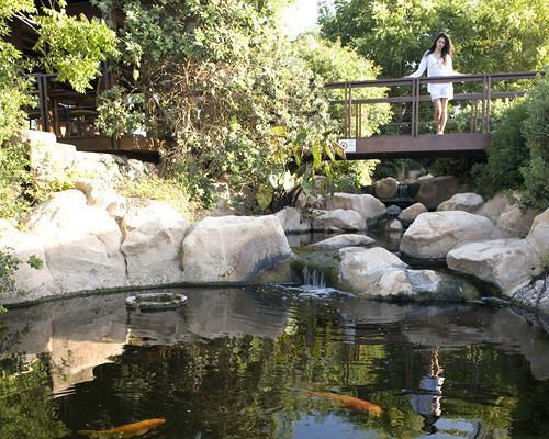 Outdoor Pictures 22