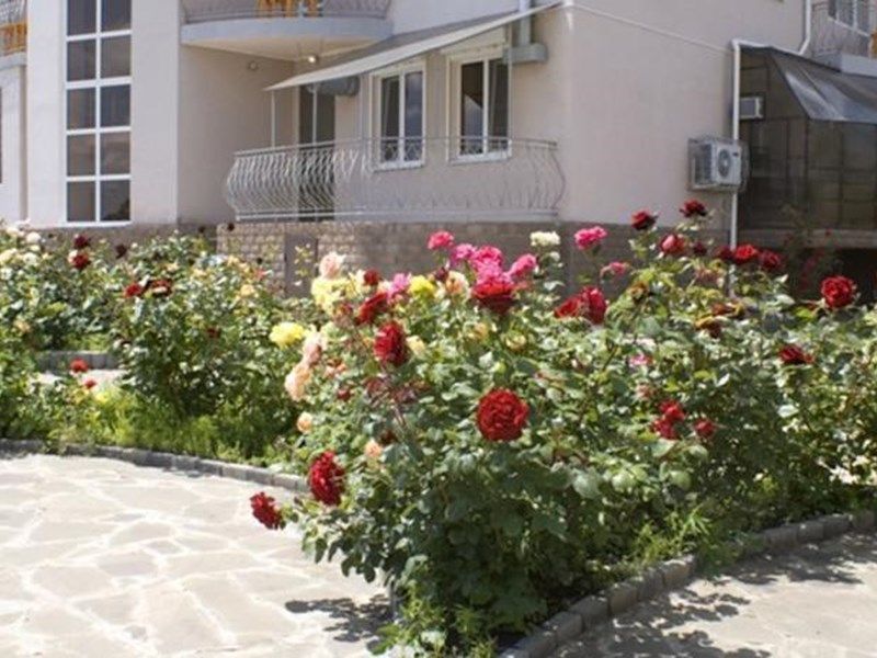 Outdoor Pictures 1