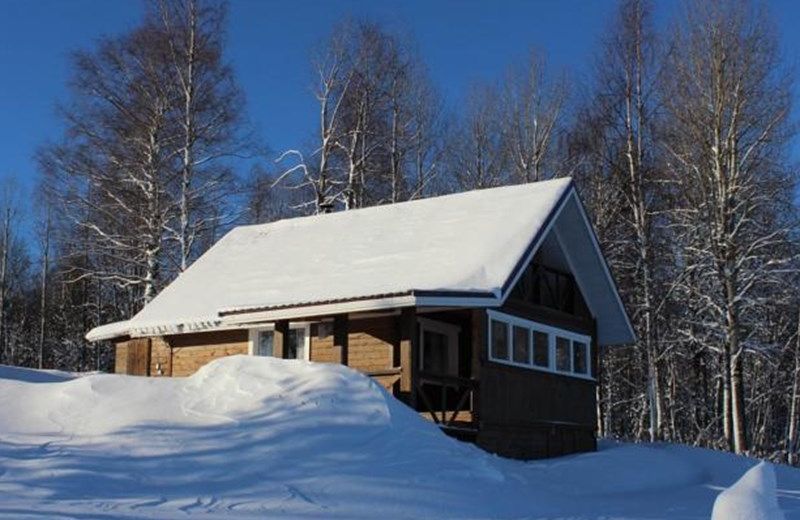Guest House Kotiranta