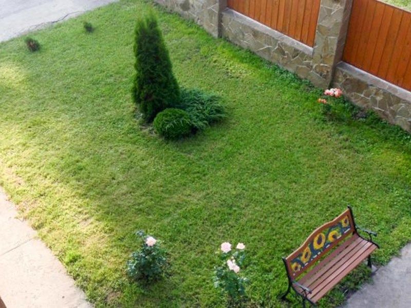Outdoor Pictures 1