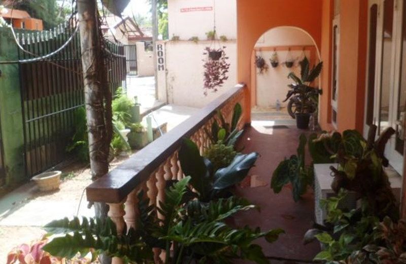 Denuwara Guest House